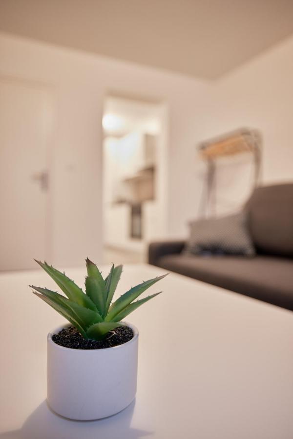 T2Lescordeliers Apartment Pamiers Exterior foto